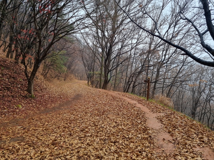 계족산-황톳길