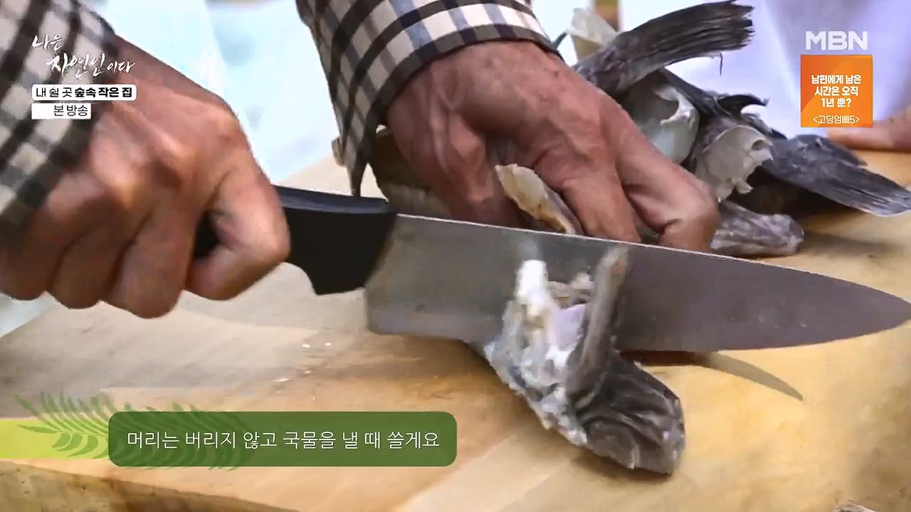 나는 자연인이다.E613.240711p-NEXT.mp4_20240711_195257.937.jpg