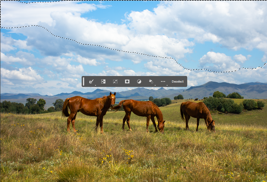 왼쪽 Object Finder 체크 해제,