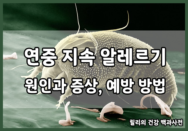 알레르기 : 연중 지속 알레르기의 원인과 증상, 예방 방법
