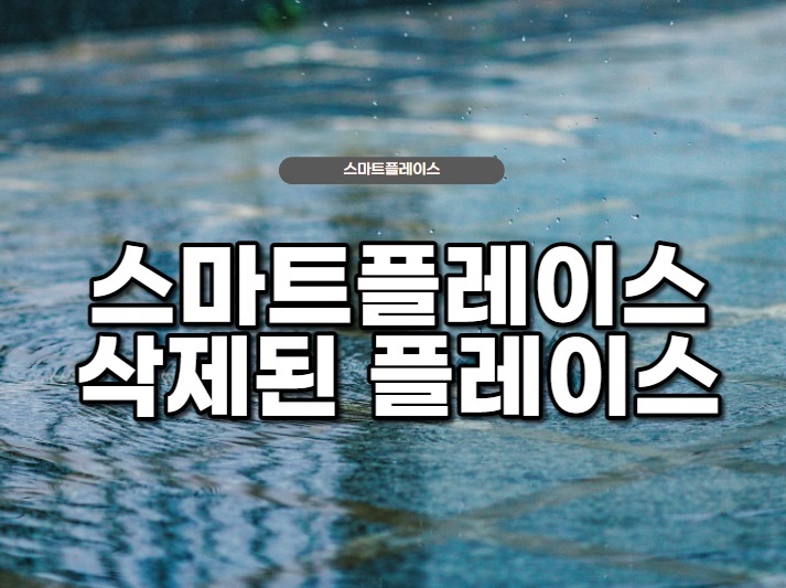  네이버 지도가 사라졌을때 대응방법