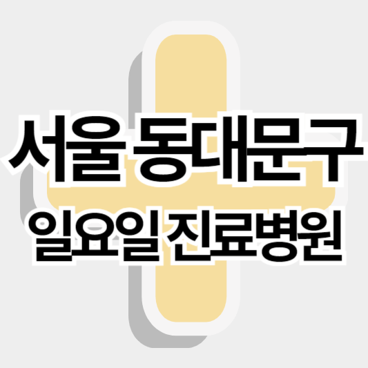 서울_동대문구_일요일병원_썸네일