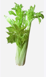셀러리와 건강 식품의 이점 1