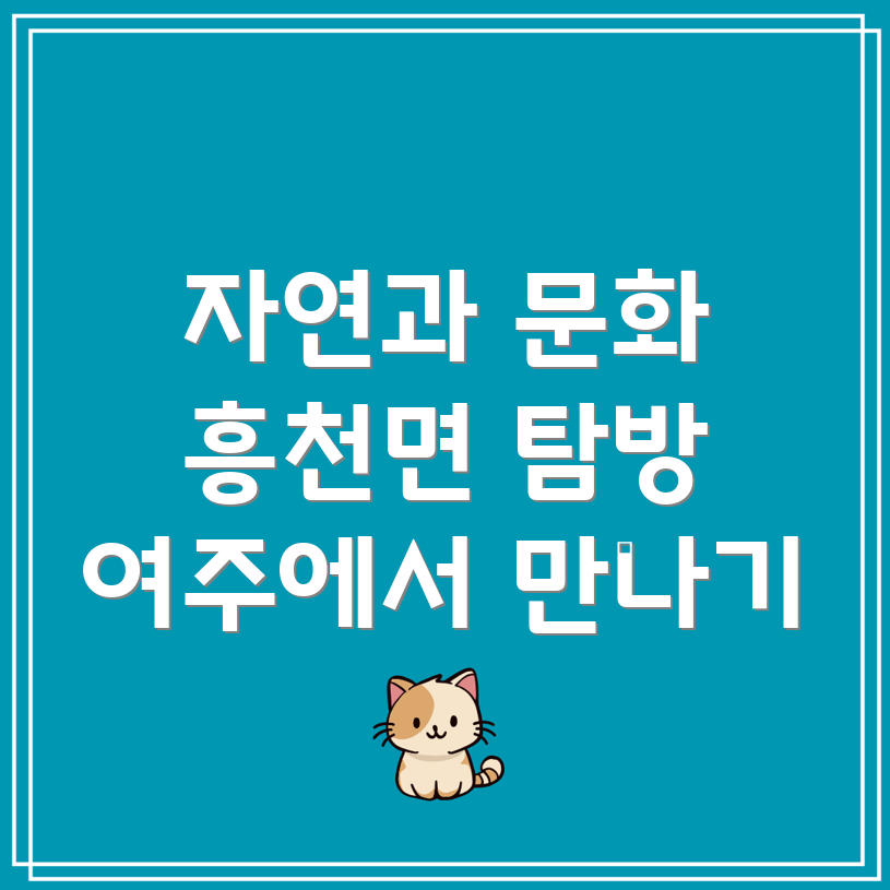 흥천면
