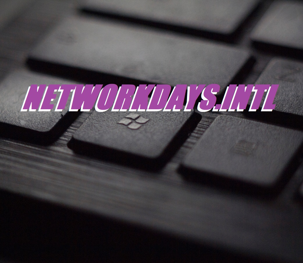 [Excel] NETWORKDAYS.INTL 함수 사용법 및 예시