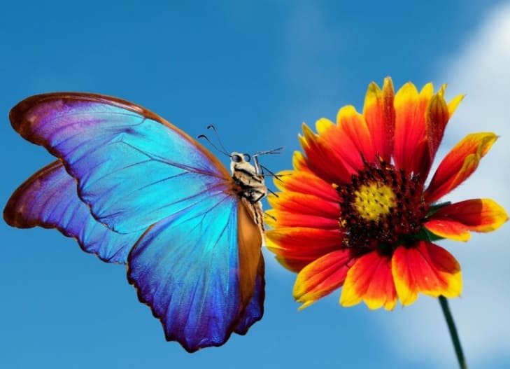  자연이 준  세계 최초 '에너지 절약 페인트' Nature inspires the world’s first energy-saving paint