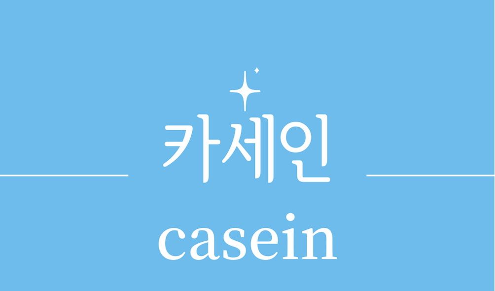 '카세인(casein)'