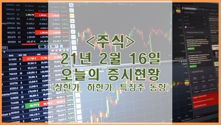  [주식] 2월 16일 오늘의 증시현황 (상한가, 하한가, 특징주)