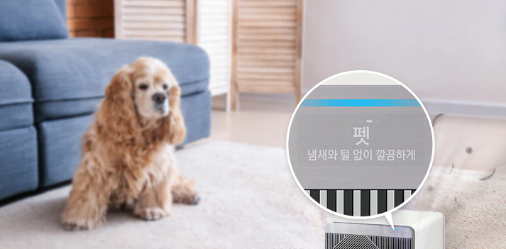 비스포크 큐브 에어 펫케어, 큐브 에어와 비교해보니