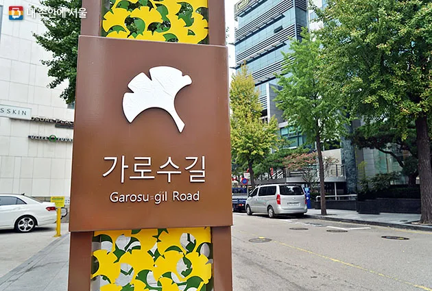 신사동-가로수길