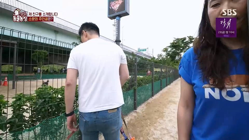 TV 동물농장.E1125.230618p.H264-F1RST.mp4_20230618_192119.941.jpg