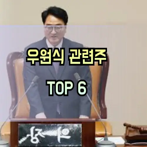 우원식-관련주
