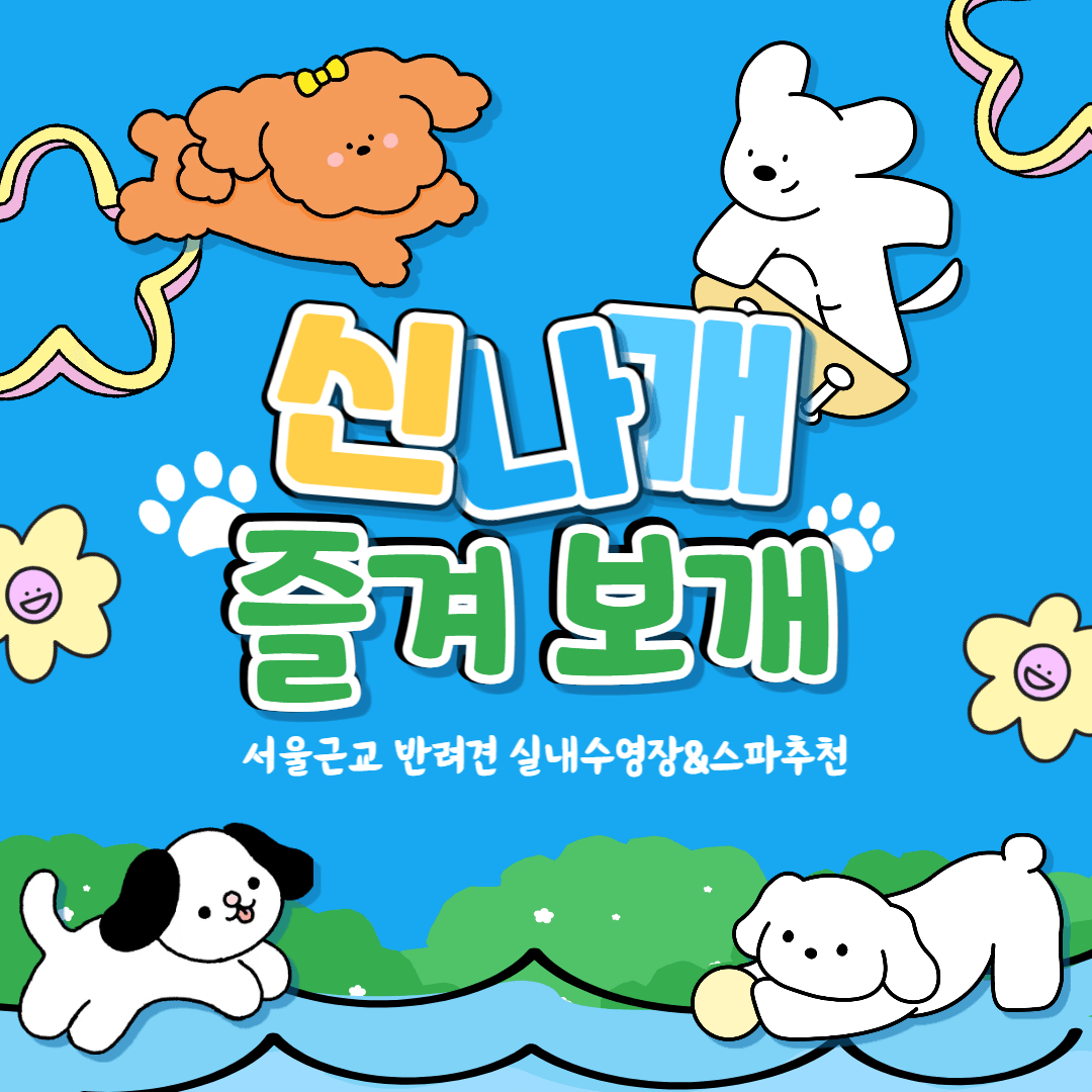 서울근교 반려견 실내수영장& 스파추천 3곳