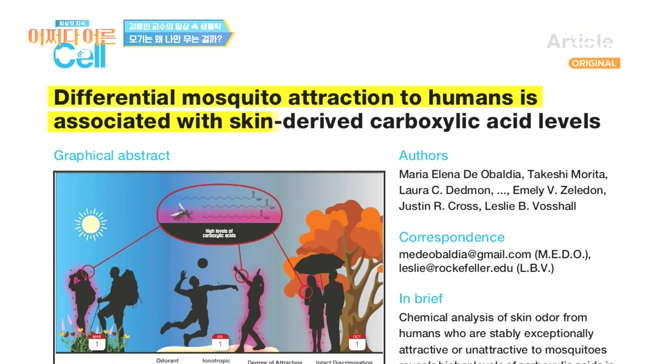 어쩌다 어른.E51.240410p-NEXT.mp4_20240410_173712.524.jpg