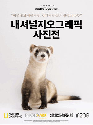 내셔널지오그래픽 사진전