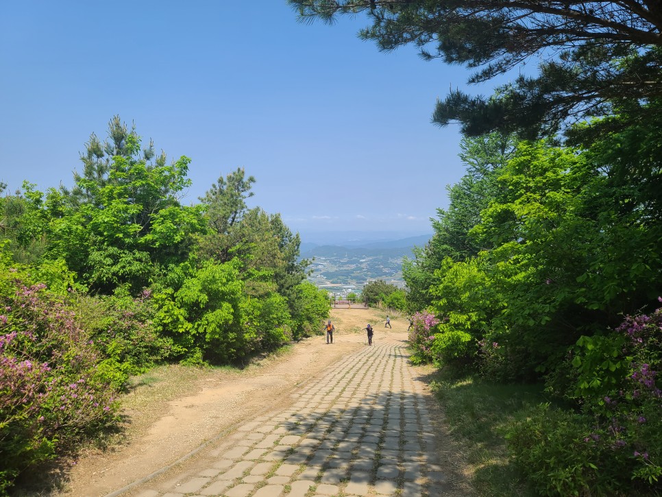 흑약 100대 지리산 바라봉 최단 등산코스 29