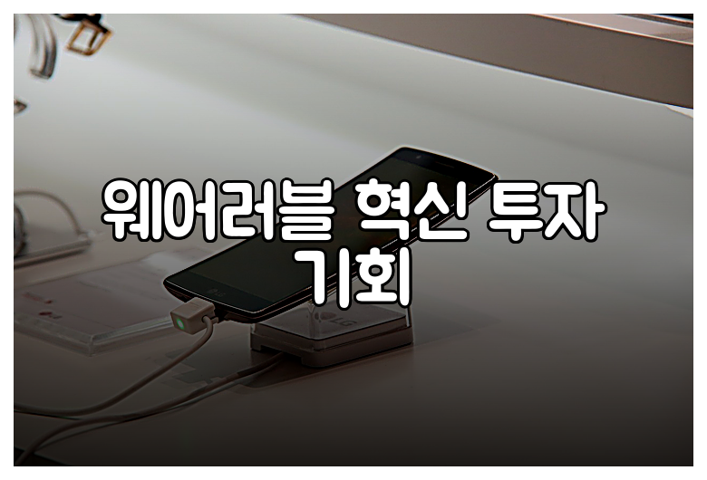 웨어러블 혁신 투자 기회