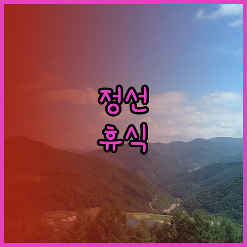 정선에서의 완벽한 휴식 정선인투라온 