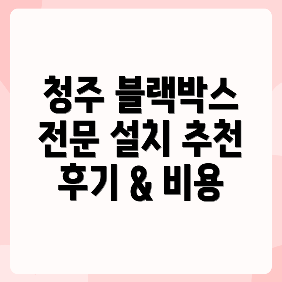 청주 블랙박스 설치