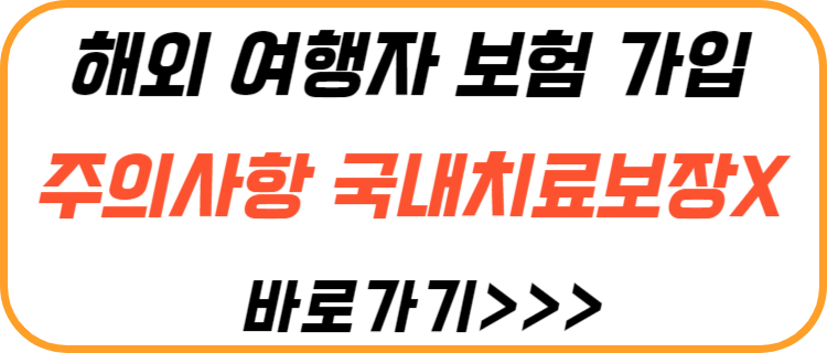 여행자-보험-주의-사항