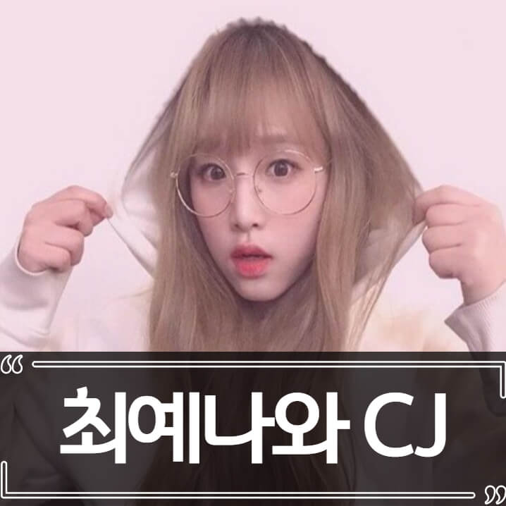  CJ회장 스폰 a 씨 논란 - 최예나로 몰아가는 사람들