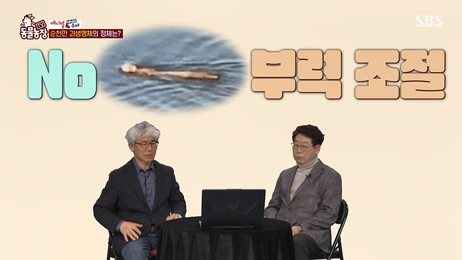 TV 동물농장.E1164.240324p-NEXT.mp4_20240324_170403.656.jpg
