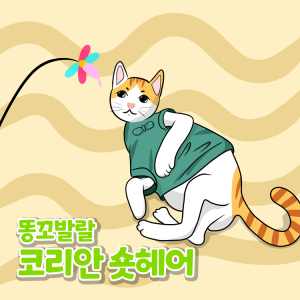 soju1117_6.jpg