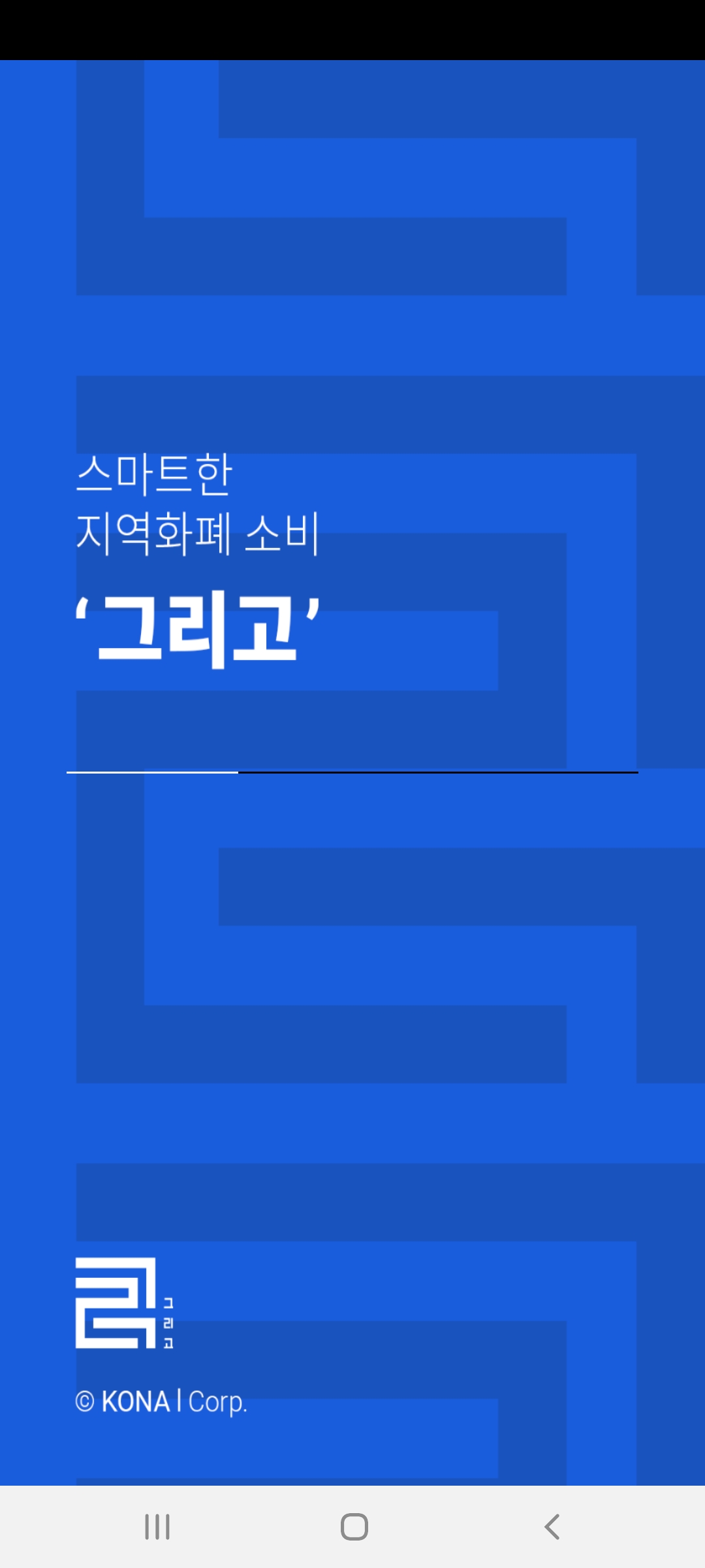 지역화폐 소비 소개