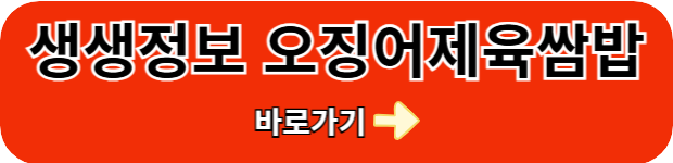 생생정보-오징어제육쌈밥