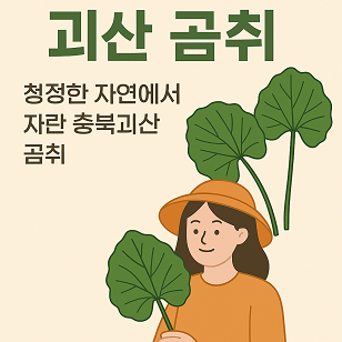 법인깊은산골 이미지