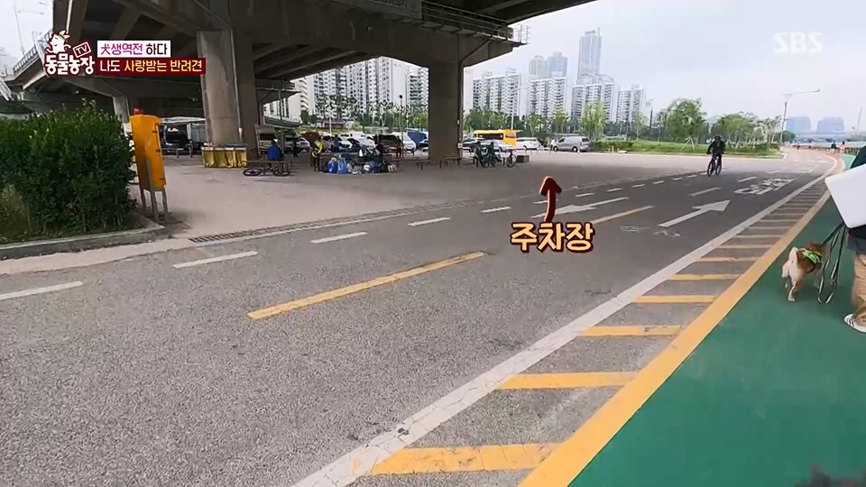 TV 동물농장.E1125.230618p.H264-F1RST.mp4_20230618_192122.218.jpg