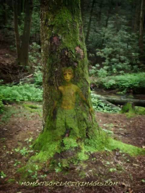 img.jpg