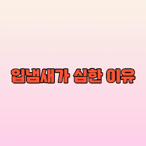 입냄새가 심한 이유