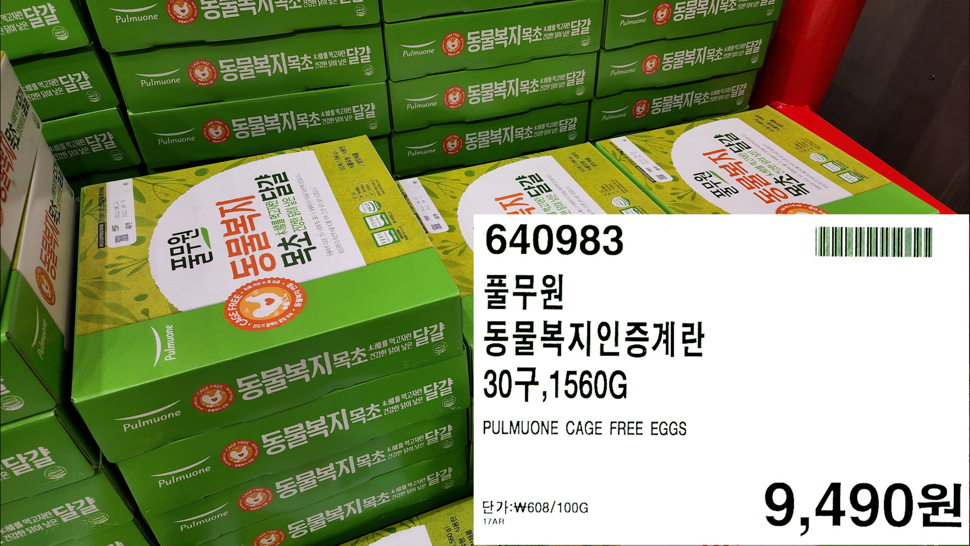 풀무원
동물복지인증계란
30구,1560G
PULMUONE CAGE FREE EGGS
단가:₩608/100G
9,490원