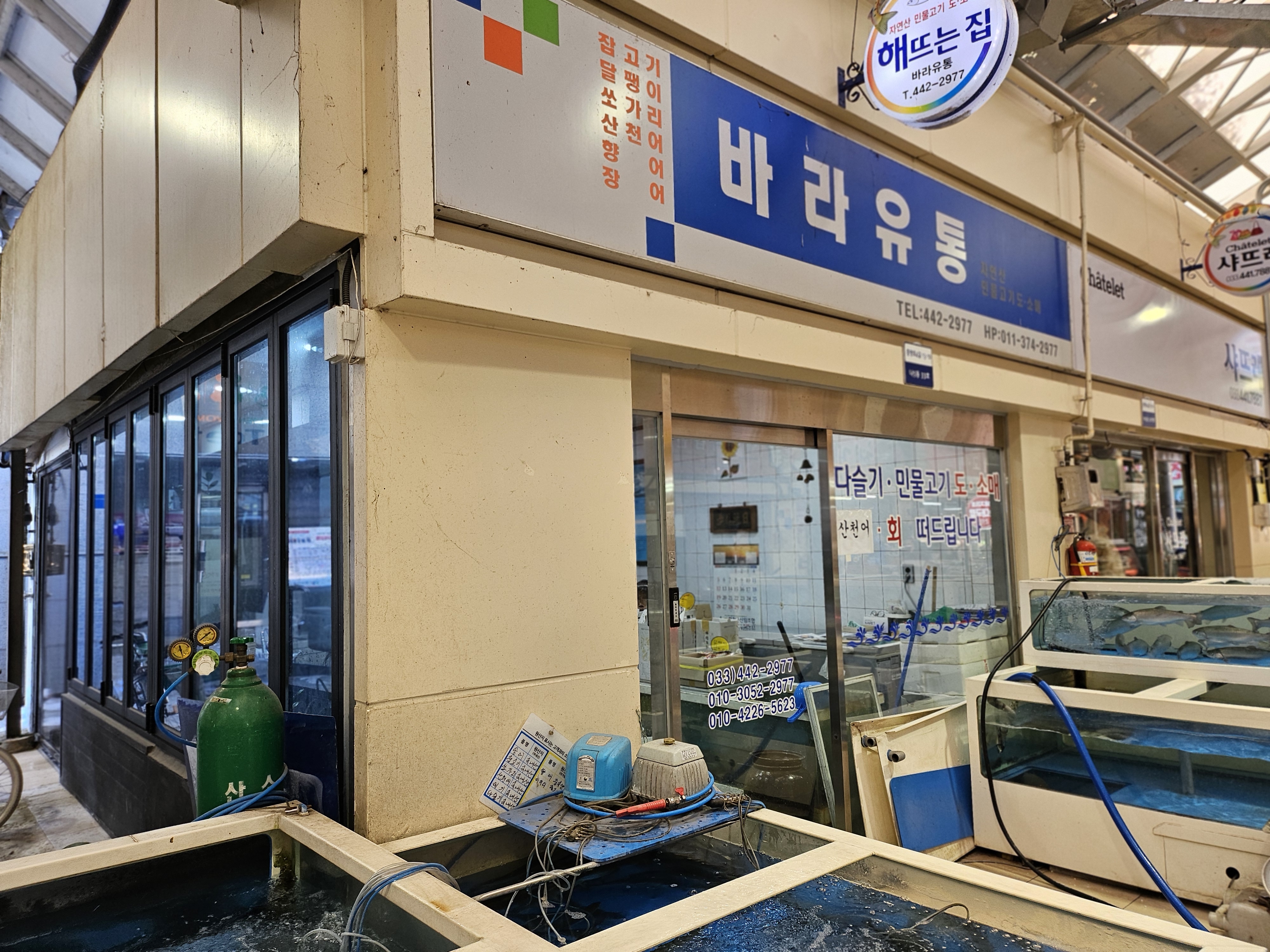 강원 화천 산천어축제 산천어손질 가격
