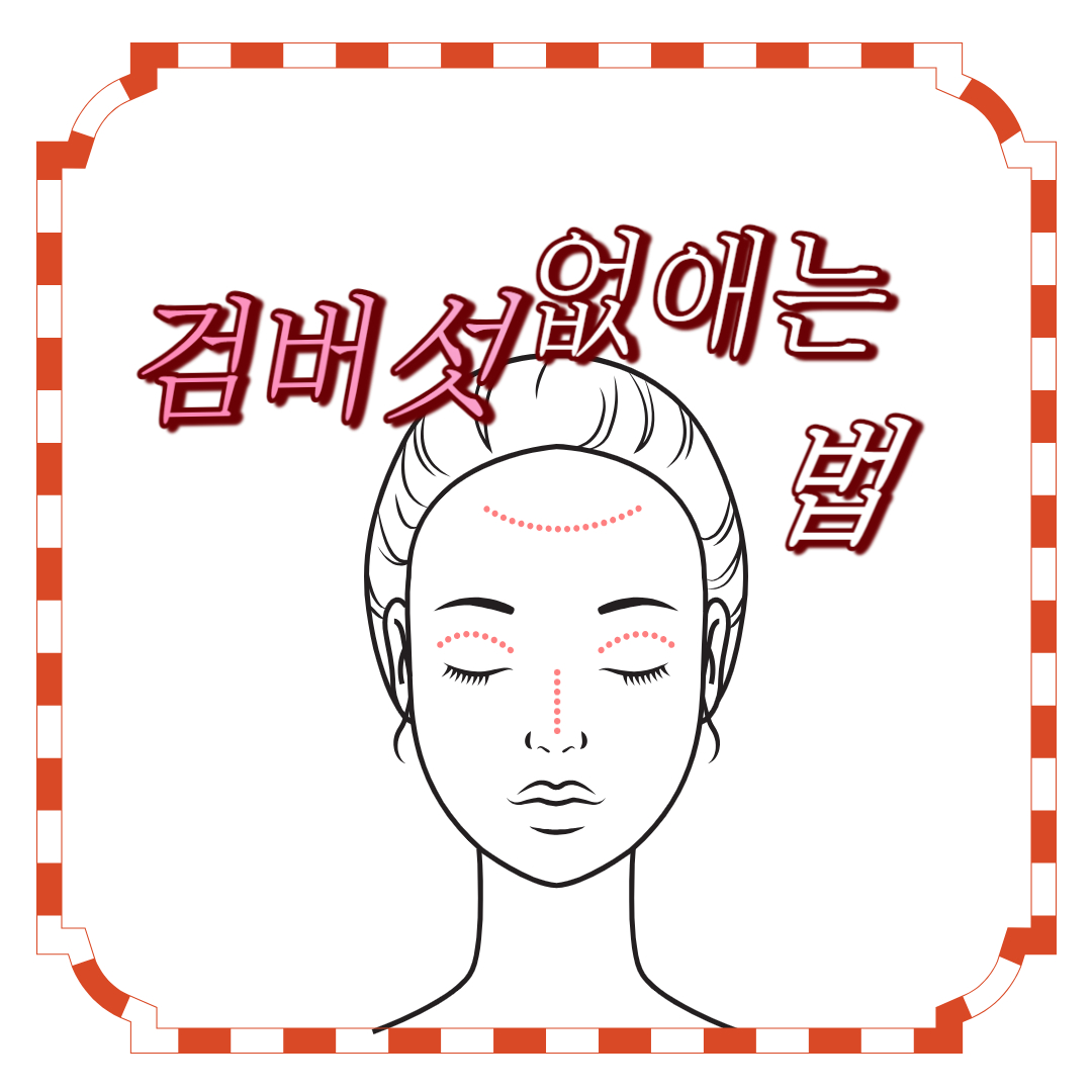  검버섯없애는 법 -  리포푸신, 몸의 노화를 지배하는 키패스트론