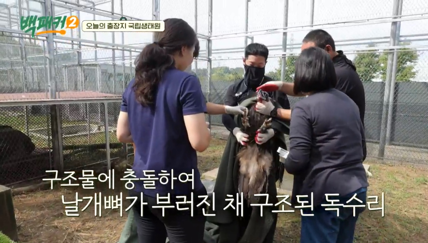 백패커2 X 국립생태원 입장료&amp;#44;시간&amp;#44;위치 정보