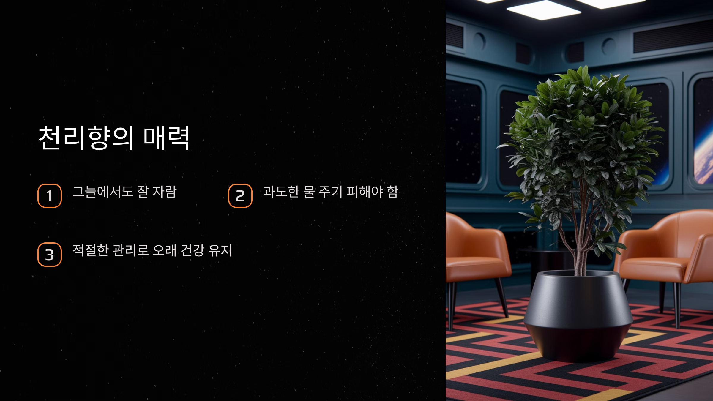 상록성 관목