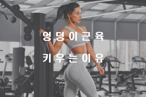  노다지네 잡학다식