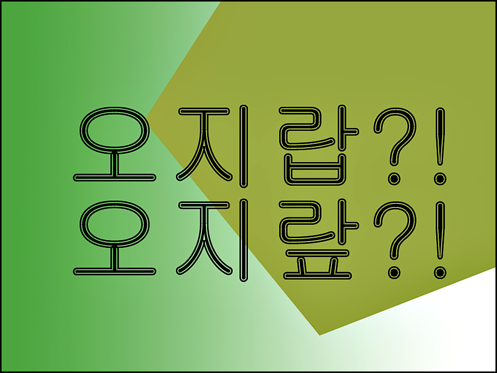  오지랍 오지랖 떨다 넓다 맞는 표현?!