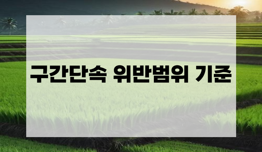 구간단속 위반범위 기준