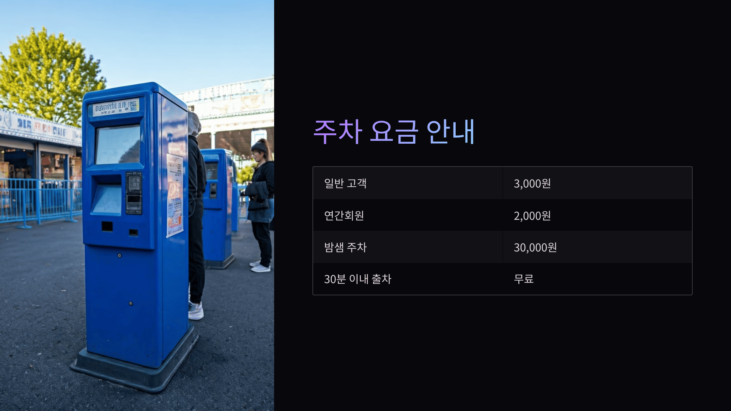 대구 이월드 벚꽃 축제, 교통·주차 완벽 가이드