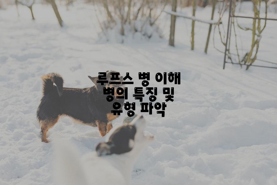 루프스 병 이해 병의 특징 및 유형 파악