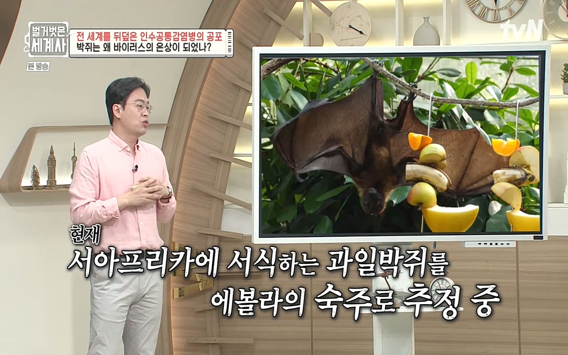 벌거벗은 세계사.E59.220810p-NEXT.mp4_20220810_212416.704.jpg