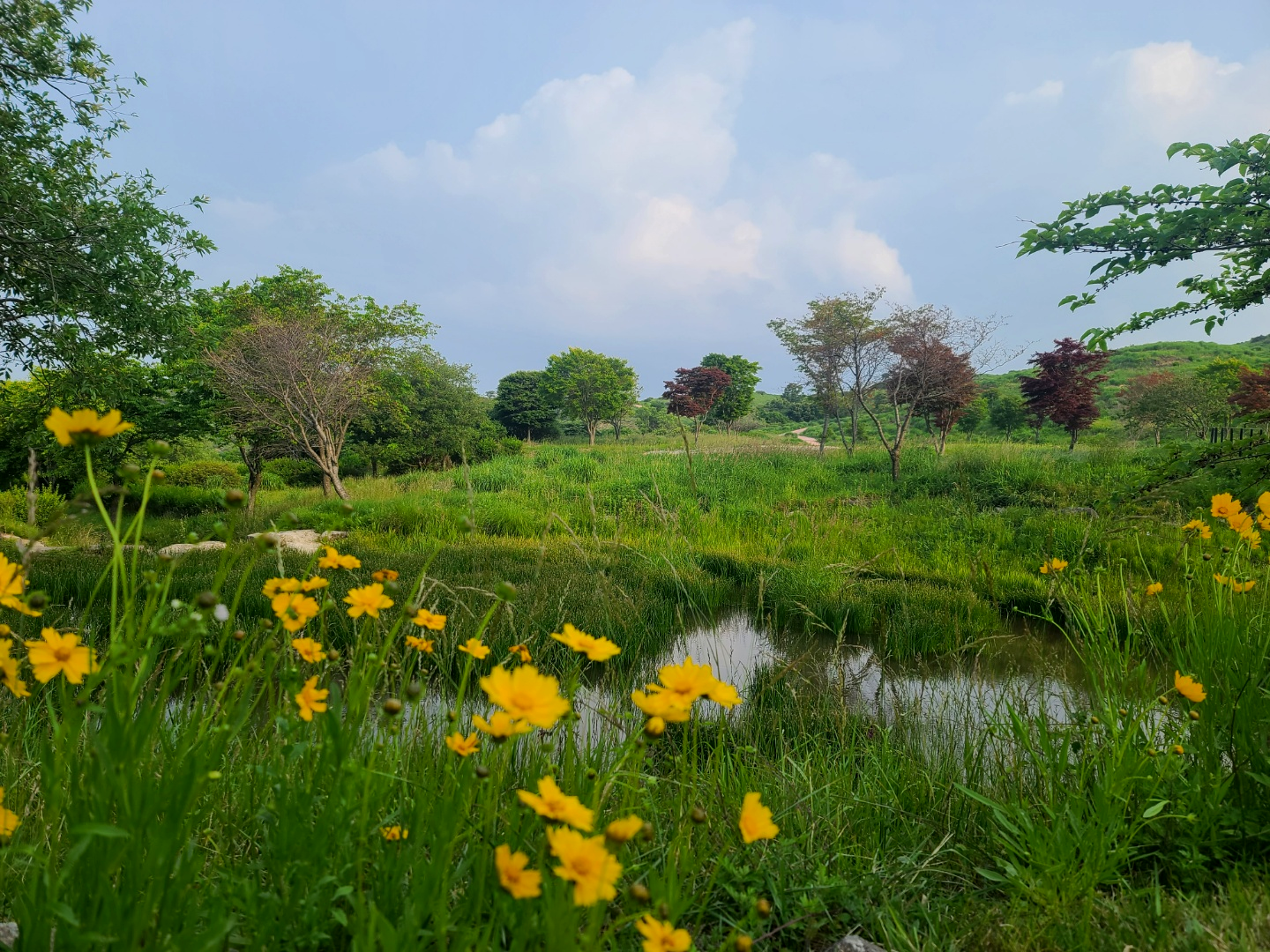 황매산 오토캠핑장7