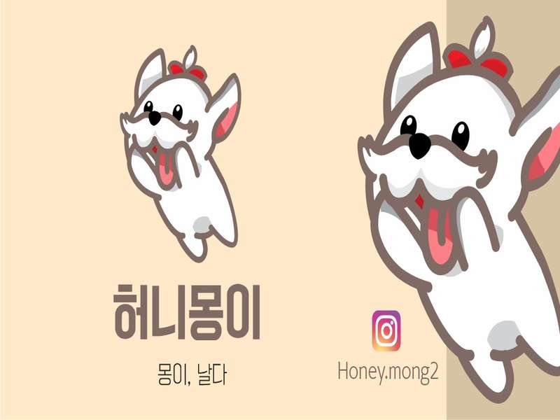 경기도 군포시 애견미용 잘하는 곳 BEST4 | 예약하기 | 후기로 확인 | 가격비교 | 혜택 알기 | 총정리 - 1. 허니몽이 소개 1. 허니몽이 소개
