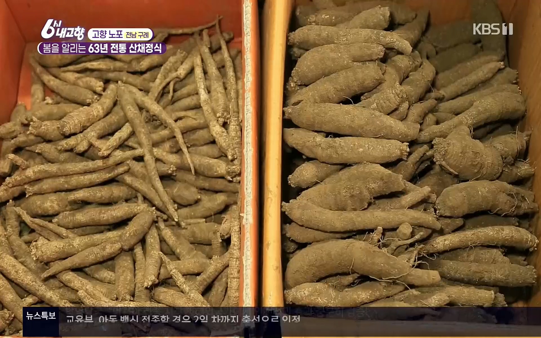 6시 내고향.E7494.220322p.H264-F1RST.mp4_20220326_182158.042.jpg