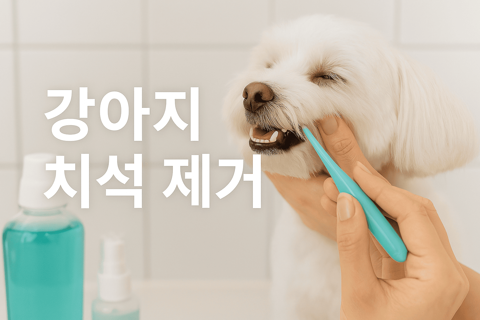 강아지-치석제거-말티즈-구강세정도구-덴탈관리-반려견입냄새관리-깔끔한욕실배경-치아건강관리