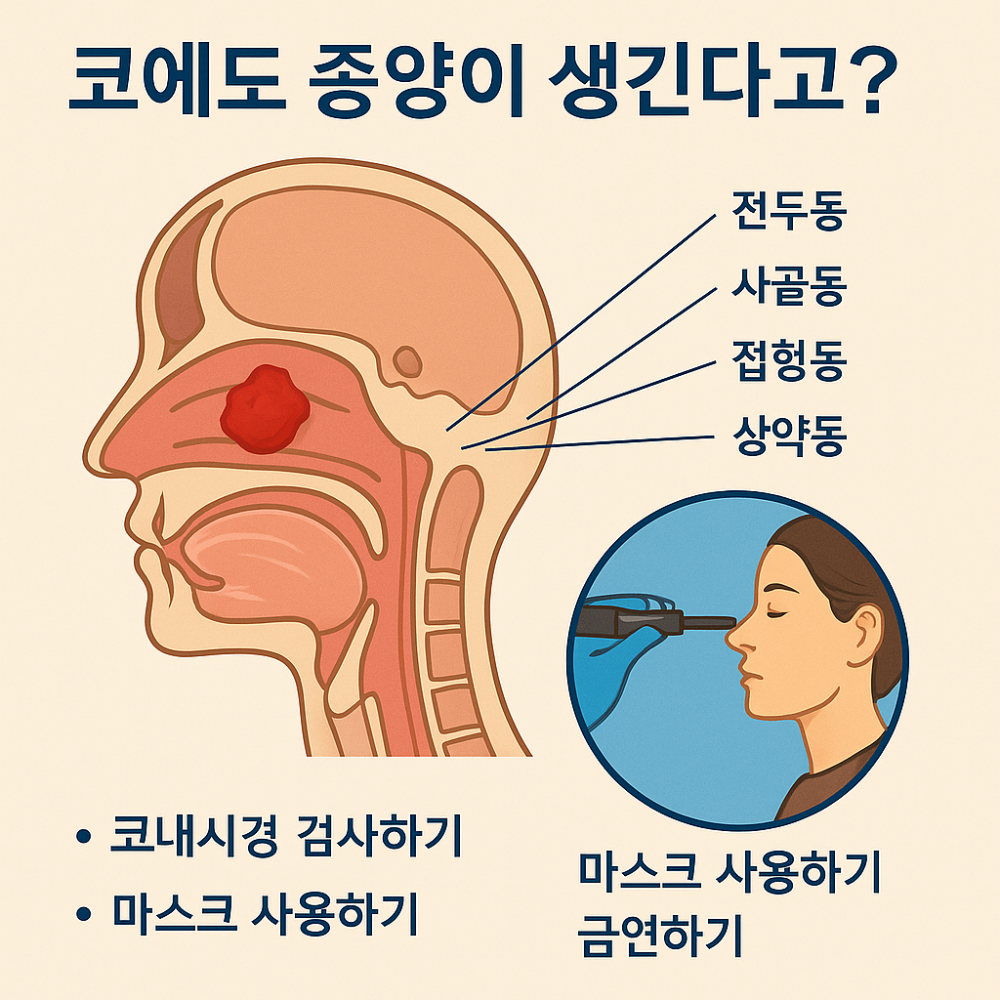 코에-생기는-다양한-종양-일러스트