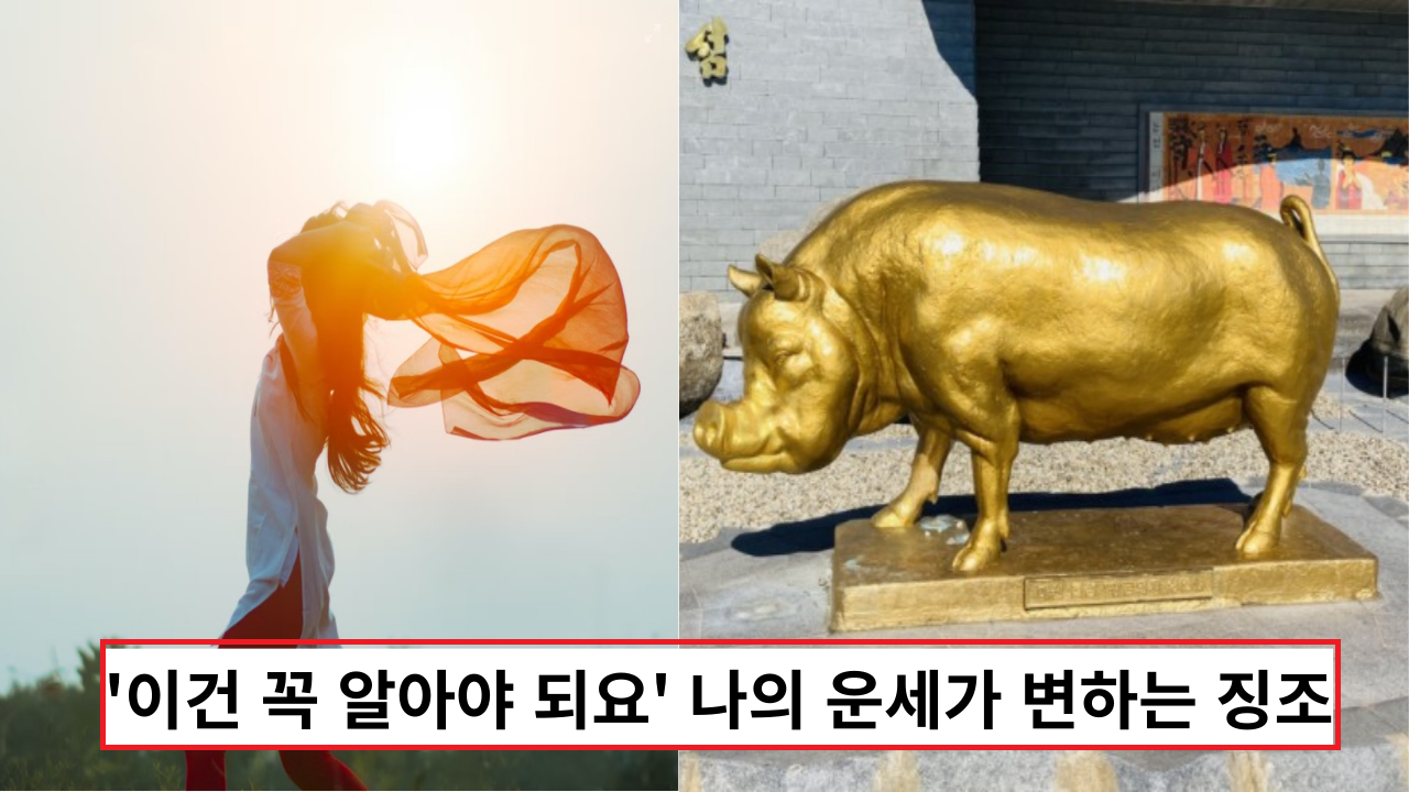  '이건 꼭 알아야 되요' 나의 운세가 변하는 징조